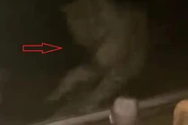 Video: Ông bố chủ quan làm người xem... rụng tim