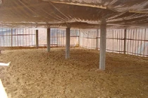 Chăn nuôi lợn sử dụng đệm lót sinh học