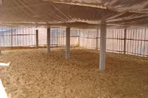 Chăn nuôi lợn sử dụng đệm lót sinh học