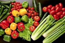 Thủ tục để xin chứng nhận VietGAP