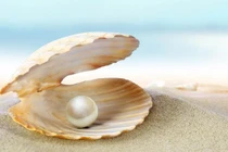 Phân biệt ngọc trai nước mặn và nước ngọt