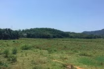 Chuyển mục đích sử dụng đất tại tỉnh Hòa Bình