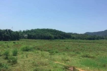 Chuyển mục đích sử dụng đất tại tỉnh Hòa Bình