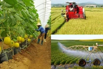 Phấn đấu 5.000 hợp tác xã công nghệ cao vào năm 2030