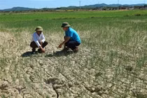 Bắc Bộ và Trung Bộ nắng nóng diện rộng, có nơi trên 38 độ C