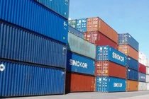 Hơn 100 container hàng bị "bỏ quên" tại cảng Cát Lái