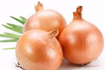 Thuốc từ củ hành tây