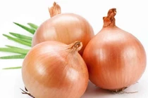 Thuốc từ củ hành tây