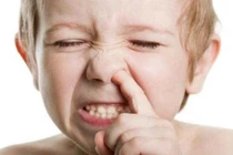 Hay ngoáy mũi có ảnh hưởng tới sức khoẻ không?