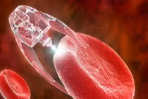 Giấc mơ trường sinh bất lão và liều thuốc bất tử