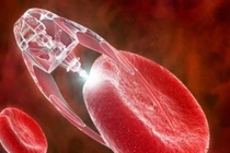 Giấc mơ trường sinh bất lão và liều thuốc bất tử