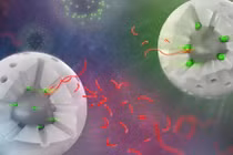 Chất xúc tác vô cơ phân giải rác thải nhựa đã qua sử dụng