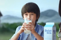 Vì sao các thương hiệu đồ uống đình đám lựa chọn Dalatmilk?