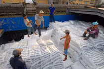 Doanh nghiệp "xù" cấp gạo dự trữ quốc gia, Bộ Tài chính đề nghị tăng chế tài