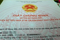 Những chính sách nổi bật có hiệu lực từ tháng 2