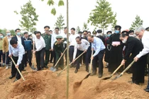 Đề án trồng một tỷ cây xanh được phê duyệt