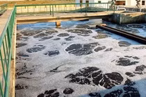 Xử lý nước thải không dùng hóa chất