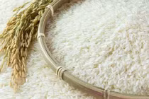 Tránh hiểu sai về gạo