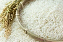 Tránh hiểu sai về gạo