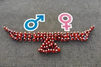 Vi phạm bình đẳng giới, mức phạt tối đa là 30 triệu đồng