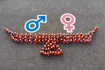 Vi phạm bình đẳng giới, mức phạt tối đa là 30 triệu đồng