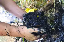 Hành trình truy dấu ô nhiễm nguồn nước sông Đà