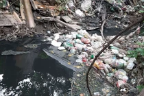 Nơm nớp nỗi lo bệnh tật quanh “con mương chết”