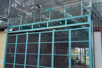 Vụ chủ vườn lan Hà Thanh bị tố "ôm" tiền tỷ bỏ trốn: Toàn bộ lan đặt mua vẫn còn ở vườn