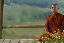 Sư thầy Thích Minh Niệm: Thuốc chữa lành tổn thương ở bên trong mình