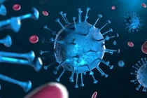 Gia tăng tái nhiễm Covid-19 