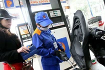 Quốc hội đề nghị kiểm toán Quỹ bình ổn giá xăng dầu