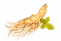 Mùa hè có nên uống nhân sâm?