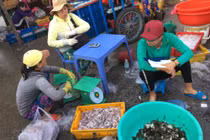 Tăng ngưỡng chịu thuế thu nhập cá nhân lên 11 triệu đồng: Vẫn lỗi thời