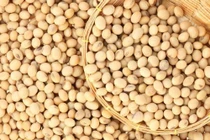 Đậu nành ngừa ung thư