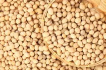 Đậu nành ngừa ung thư