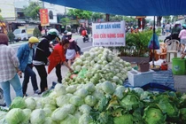 Sau một năm thành công, nông sản tiếp tục cần giải cứu 