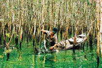 Miền Tây, lạ lạ, xưa xưa...