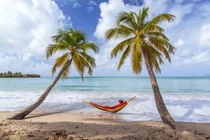 Đi tắm biển, cặp vợ chồng không ngờ bị giun sán chui vào người