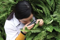 Tiến sĩ 8x và giấc mơ mang tên dương xỉ