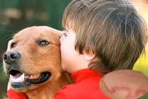 Tràn dịch màng phổi do giun đũa chó 