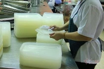 Kết luận có ấu trùng trong khay cơm của học sinh Trường Thực nghiệm