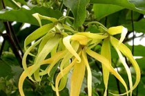 Những tín hiệu báo mùa về