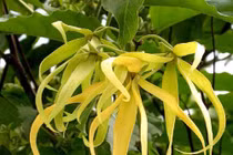 Những tín hiệu báo mùa về