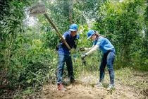 Trồng 1 tỷ cây xanh: Tránh chạy theo phong trào, 'trồng 10, chết 9'