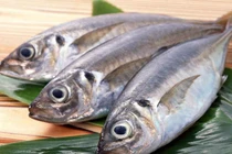 Cách ăn cá tránh nhiễm độc