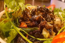 Ăn côn trùng tốt cho đường ruột