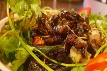 Ăn côn trùng tốt cho đường ruột