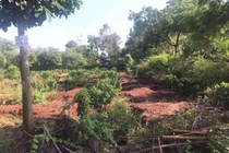 Đắk Lắk: Dân điêu đứng vì “cò” thổi giá đất