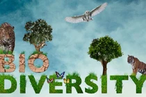 Sử dụng trí thông minh nhân tạo để quản lý đa dạng sinh học