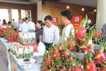 Bình Thuận công bố 56 sản phẩm đạt tiêu chuẩn OCOP